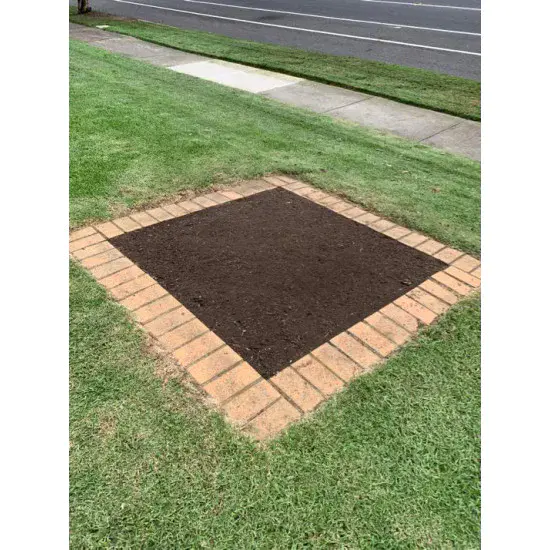 Sunshine Hot Tohumlu Çim Rulosu 10 m2