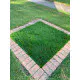 Sunshine Hot Tohumlu Çim Rulosu 10 m2