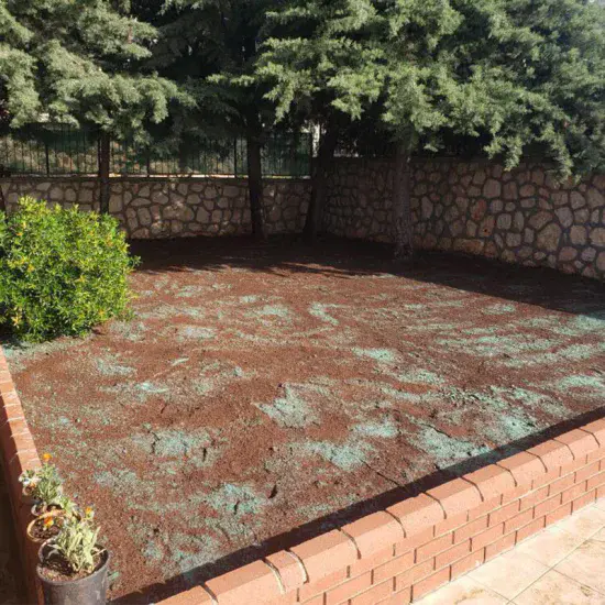  Tohum Halısı Ornamental Premium 10m2